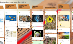 Padlet - Alterações Climáticas